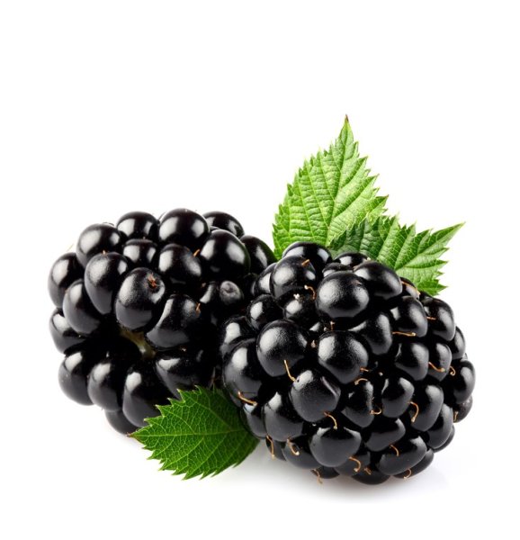 Лесные ягоды