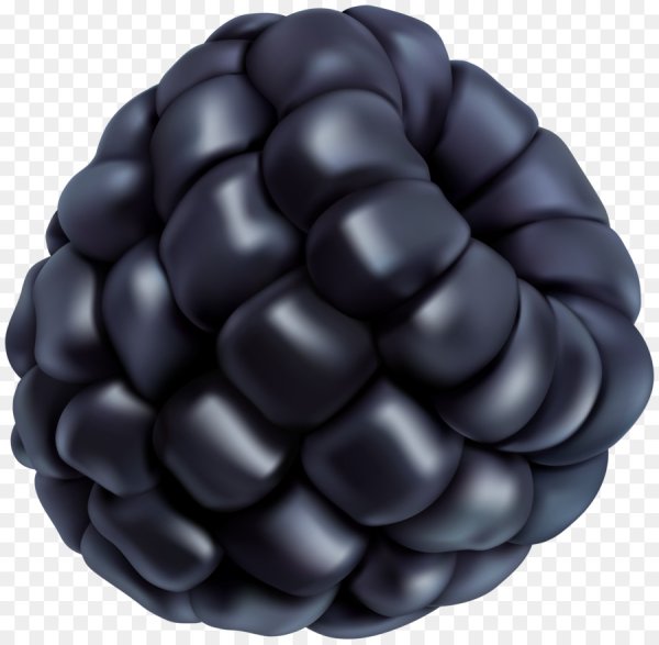 Ежевика для фотошопа