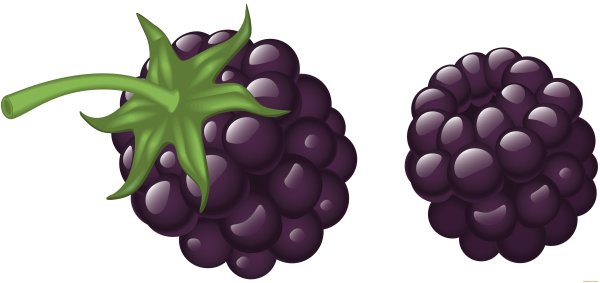 Ежевика мультяшная