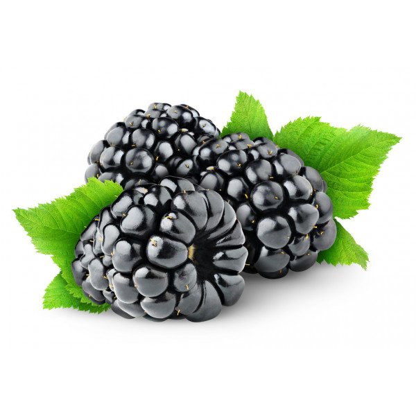 Ежевика 300г