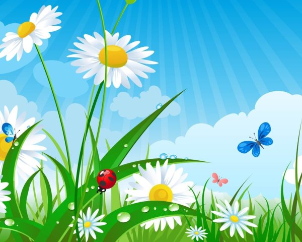Фон с ромашками для детского сада
