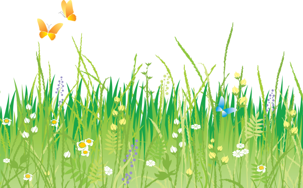 Травка нарисованная