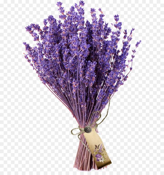 Пучок лаванды