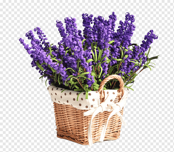 Лаванда букет