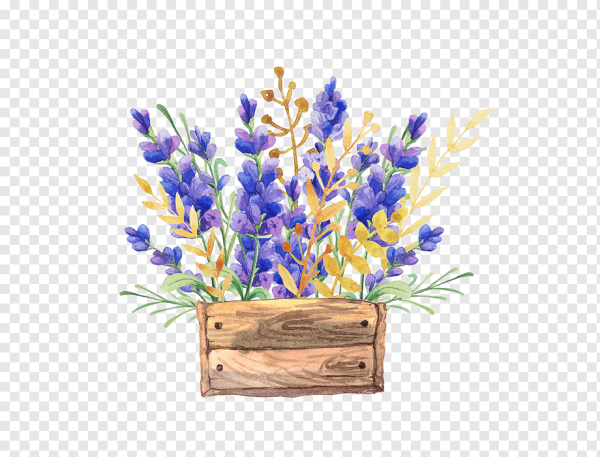 Прованс на прозрачном фоне