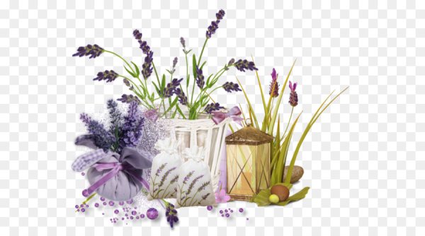 Прованс на прозрачном фоне