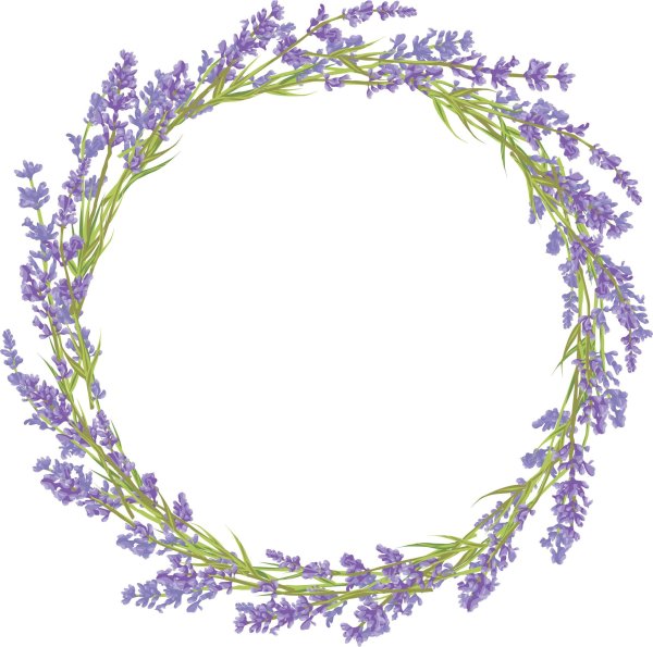Круг из лаванды