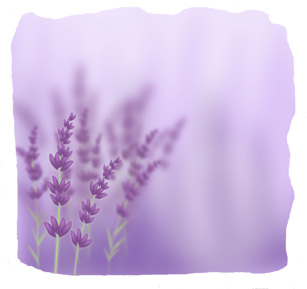 Лаванда фон