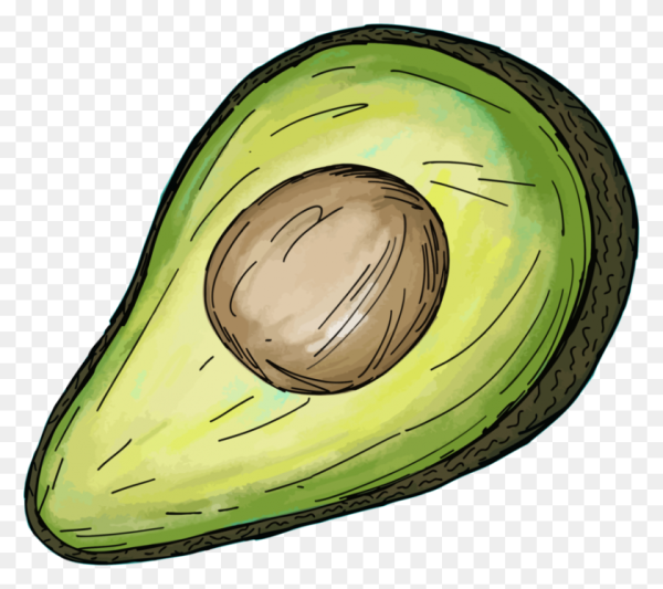 Авокадо вектор