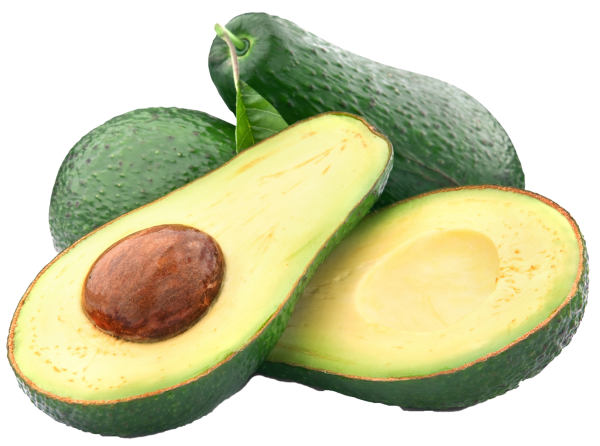 Авокадо на белом фоне