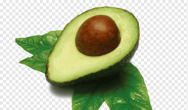 Карточки с авокадо