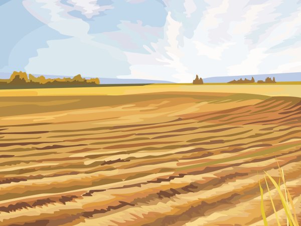 Нарисованное поле