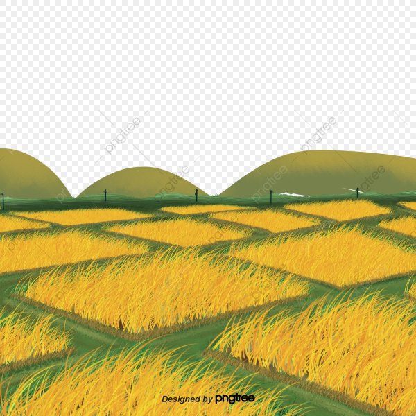 Сельское хозяйство поле вектор