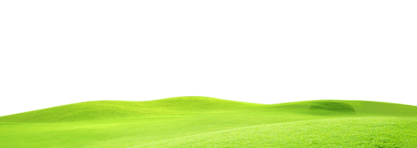 Зеленое поле без фона