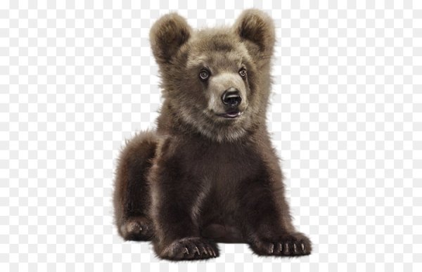 Медвежонок на белом фоне