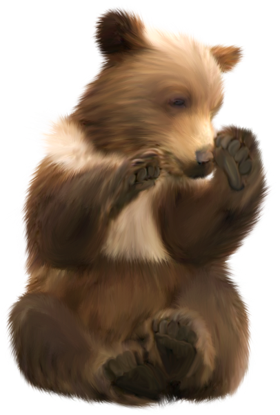 Медвежонок на прозрачном фоне