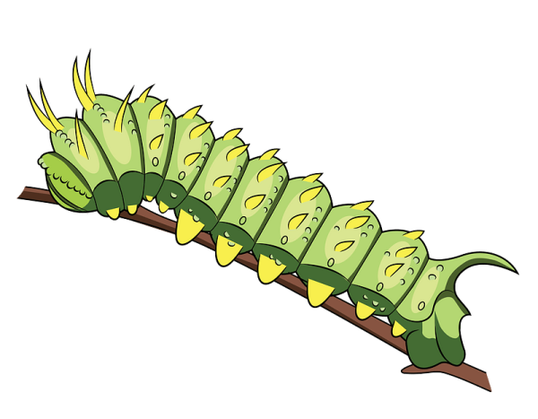 Гусеница картинка для детей на прозрачном фоне