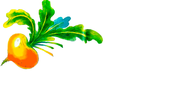 Репа картинка для детей