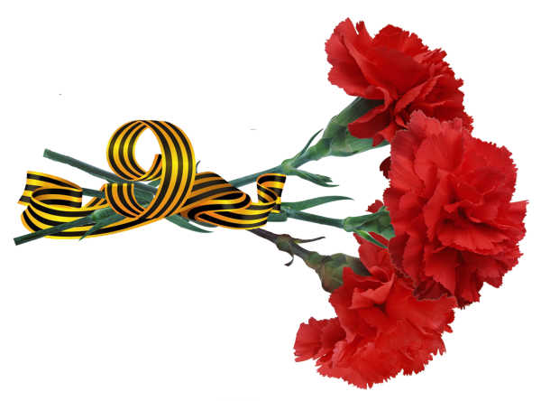 Гвоздики с георгиевской лентой