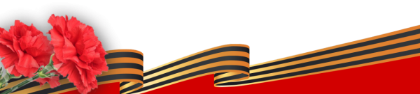 Георгиевская лента с гвоздикой на прозрачном фоне