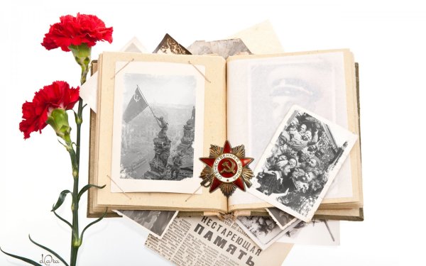 Мы о войне стихами говорим