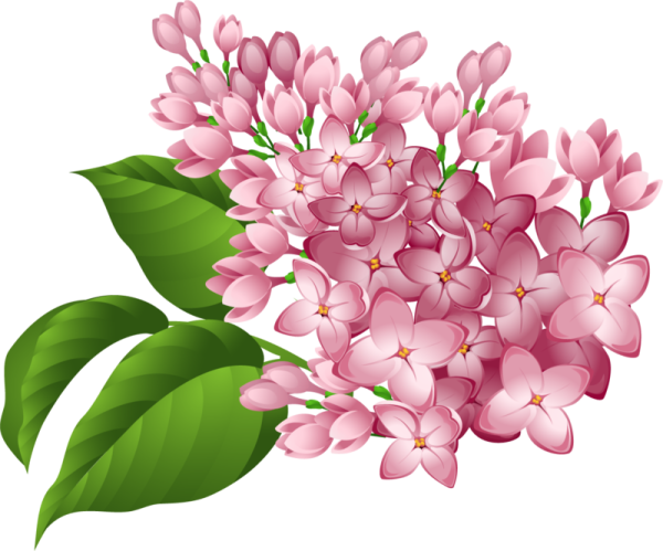 Сирень мультяшная