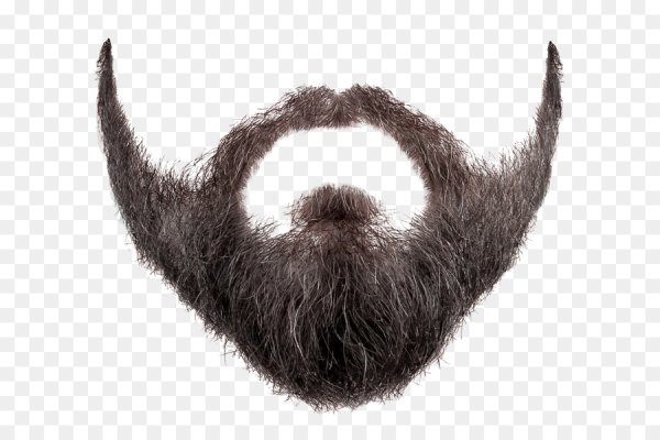 Бородатое лицо вектор