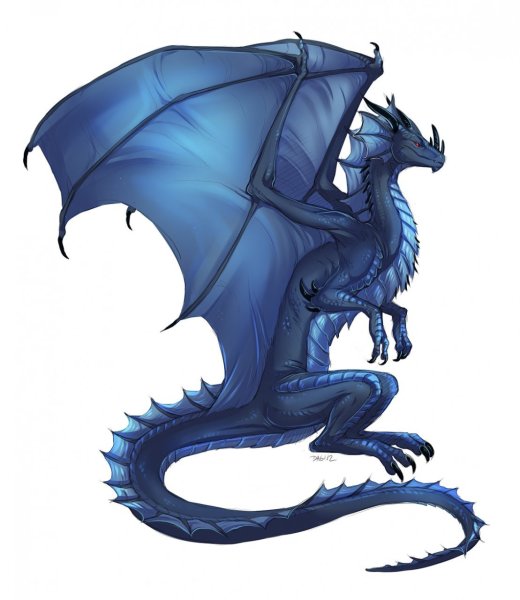 Дракон на белом фоне