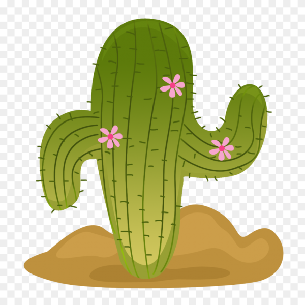 Ковбойский Кактус