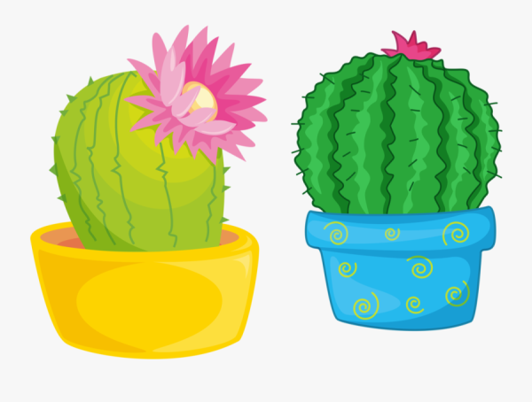 Цветок кактуса