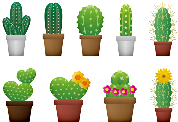 Кактус векторное изображение
