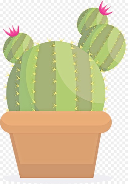 Векторный Кактус