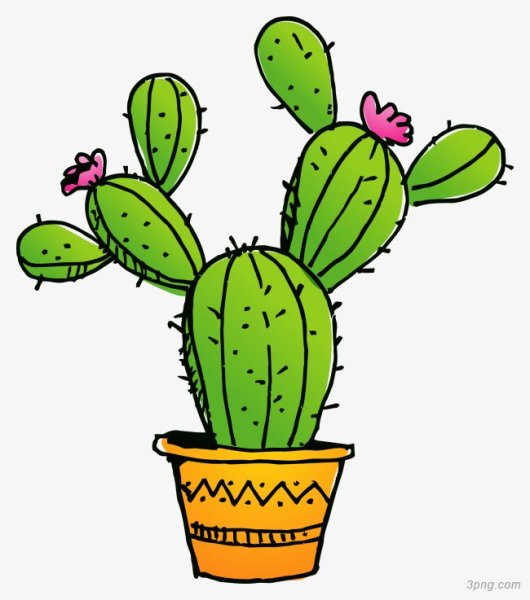 Кактус на прозрачном фоне