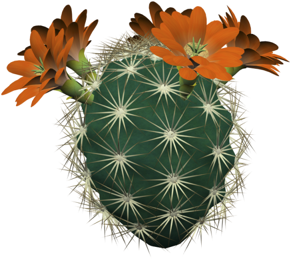 Мультяшные растения