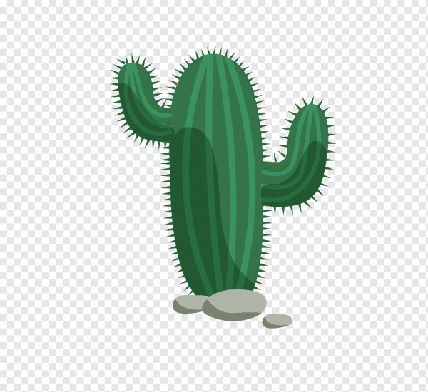 Кавай Кактус