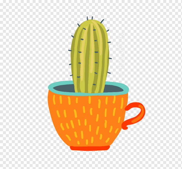 Кактус без фона