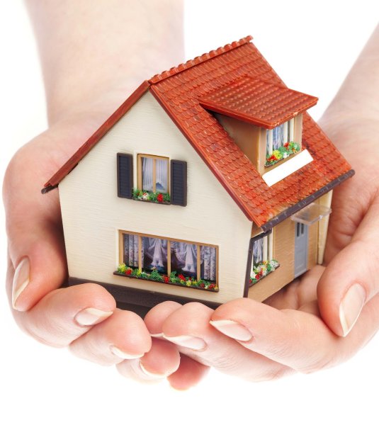 Домик на ладони