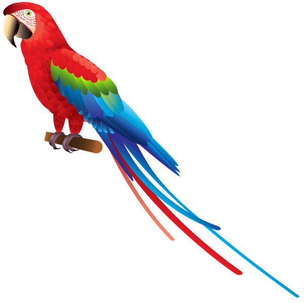 Попугай Macaw вектор