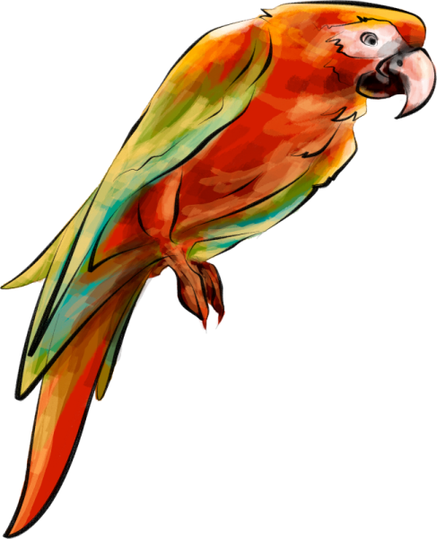 Попугаи неразлучники фото