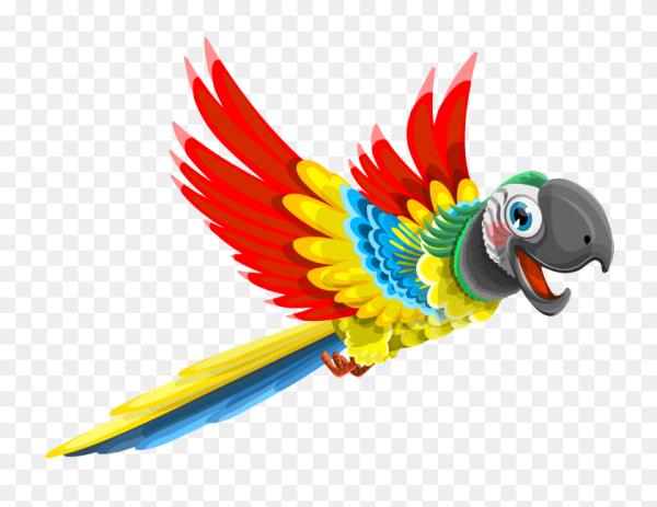 Попугай мультяшный