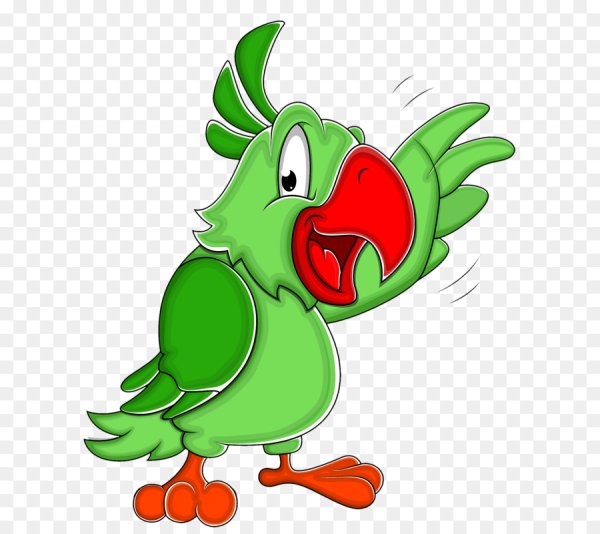 Мультяшные попугаи