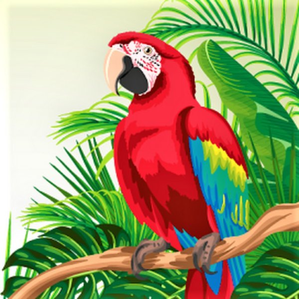 Попугай вектор
