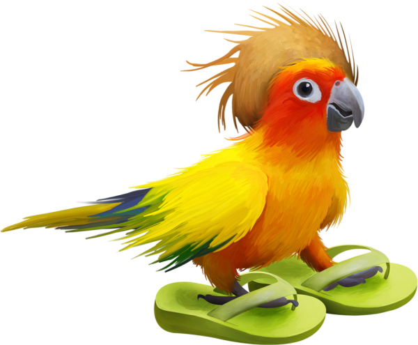 Попугай на прозрачном фоне