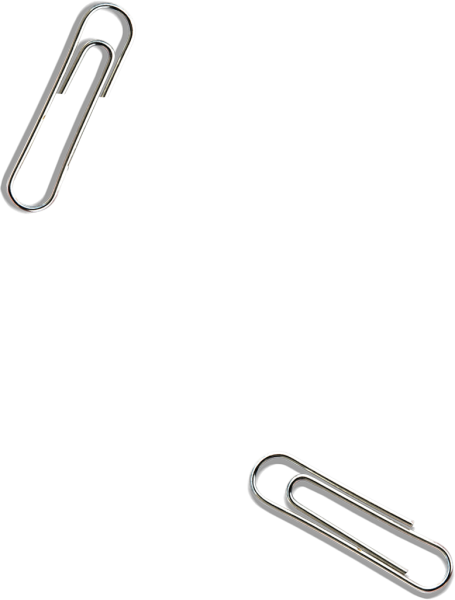 Заколки для волос вектор