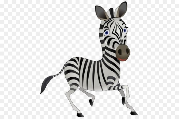 Зебры мультяшные