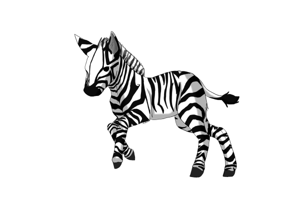 Зебра рисунок