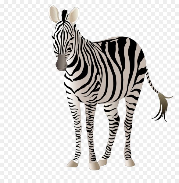 Adobe Illustrator Зебра