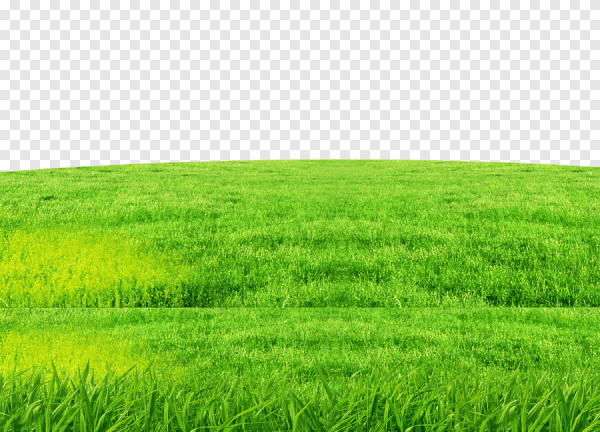 Газон без фона