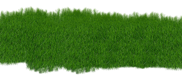 Газон на прозрачном фоне