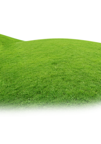 Векторный газон